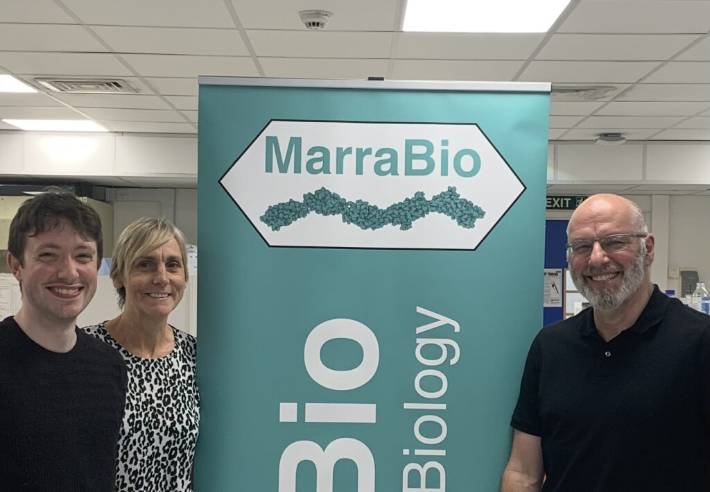 marrabio investment